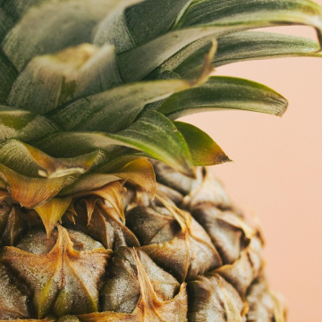 Situs Via Pulsa Indosat 5000 Terpercaya & Tanpa Fee